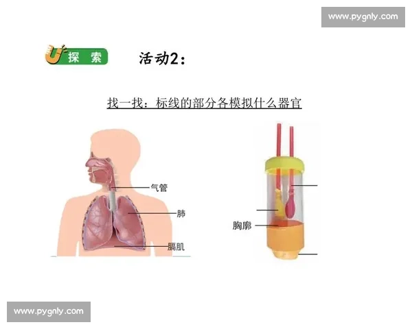 伤病恢复为核心的系统化康复路径与科学训练新探索方法研究实践指南
