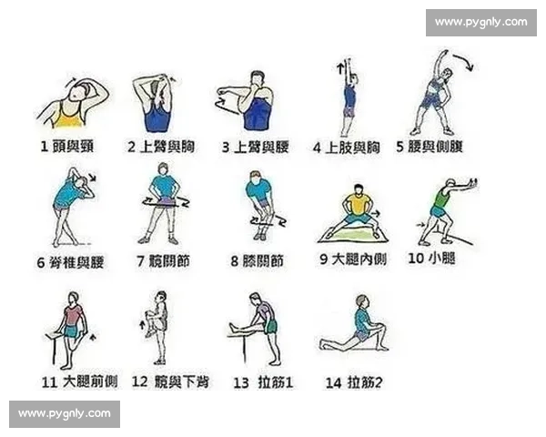 科学热身活动全解析 提升运动表现与防伤指南 科学热身活动全解析 提升运动表现与防伤指南